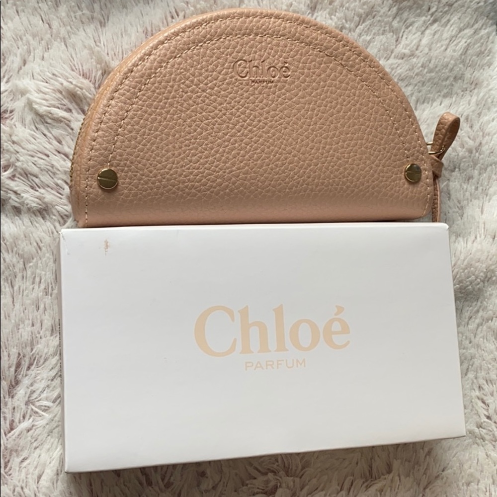 Clutch/ Makeup travel bag